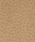 RK Classics Karoo Orix Vinyl