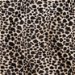 Brown Baby Cheetah Velboa Faux Fur Fabric thumbnail image 1 of 2