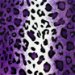 Purple Leopard Velboa Faux Fur Fabric thumbnail image 1 of 2