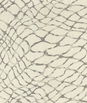 Kravet WATERPOLO.11 Waterpolo Stone Fabric