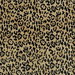 ABBEYSHEA Lipped 54 Coin Fabric