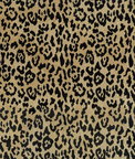 ABBEYSHEA Lipped 54 Coin Fabric
