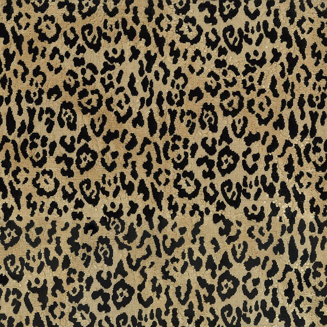 ABBEYSHEA Lipped 54 Coin Fabric