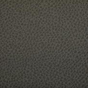 Kravet Woolf Hawk Fabric