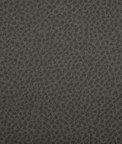 Kravet Woolf Hawk Fabric