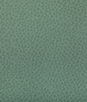 Kravet Woolf Julep Fabric