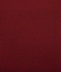 Kravet Woolf Fiesta Fabric