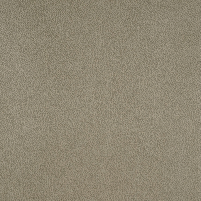Nassimi Tolstoy Parchment Faux Leather Fabric image 1 of 2