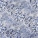 Blue Leopard Charmeuse Fabric thumbnail image 1 of 2