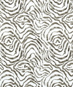 Angela Harris Zephyr Jet Luxe Canvas