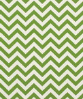 Premier Prints Outdoor Zig Zag Greenage Fabric